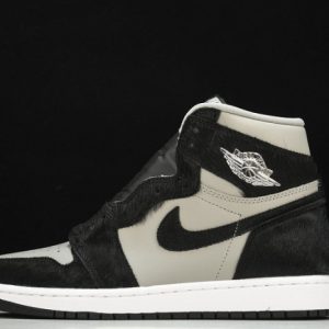 Air Jordan 1 high OG "twist 2.0" dz2523-001