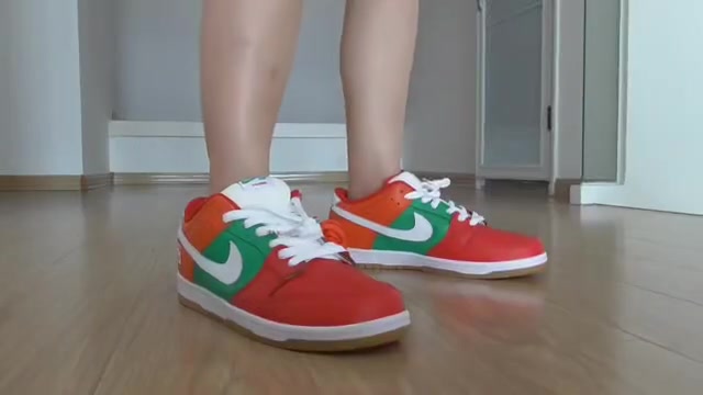 Customer Review: Nike Dunk Low Red Green