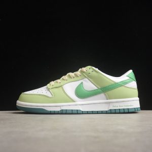 Nike sb dunk low fd9911--101