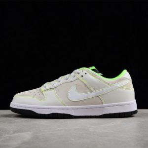 Nike sb dunk low fq7260-001