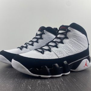 Air Jordan 9 302370-112