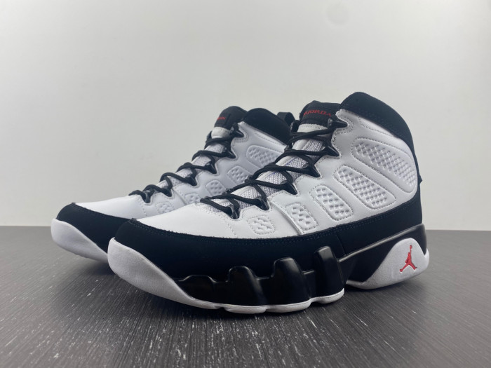 Air Jordan 9 302370-112