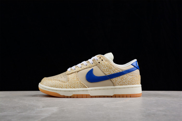Nike sb dunk low dz4853-200