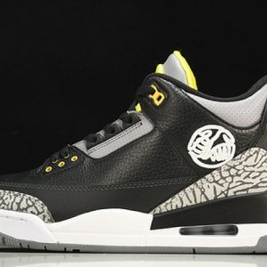 Air Jordan 3 retro"oregon duck" 282240