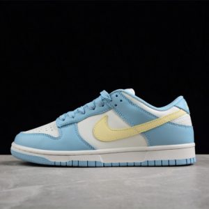 Nike sb dunk low dd1503-123
