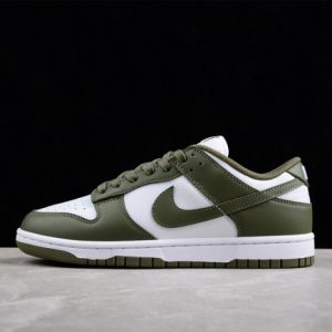 Nike dunk low dd1503-120