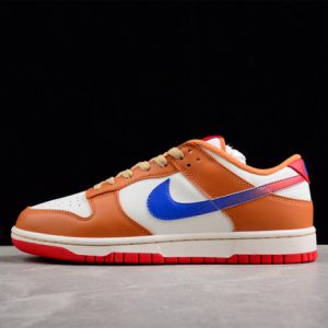 nk dunk low dh9765-101