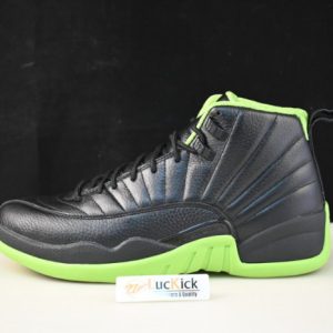 Air Jordan 12 DR8887-1012