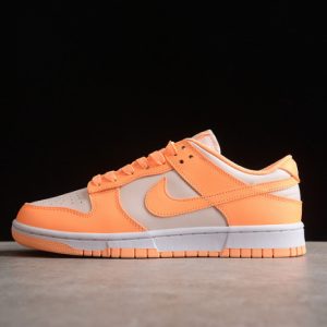 Nike sb dunk low dd1503-801