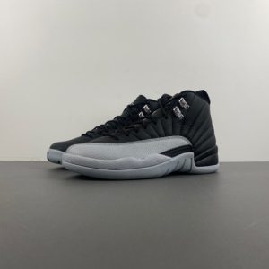 Air Jordan 12 CT8013-010