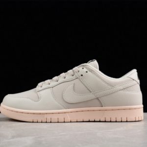Nike sb dunk low dz2538-100
