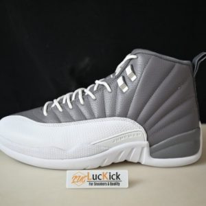 Air Jordan 12 Stealth CT8025-610