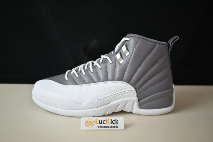Air Jordan 12 Stealth CT8025-610