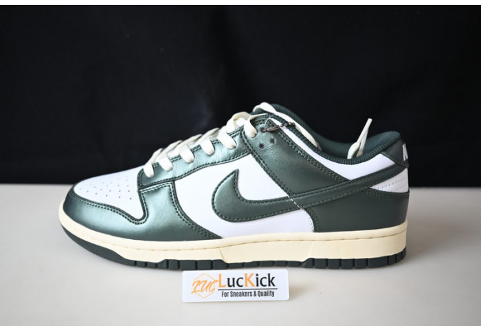 Nike dunk sb low pro dq8580-100 - Image 2