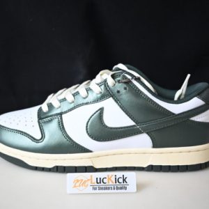 Nike dunk sb low pro dq8580-100
