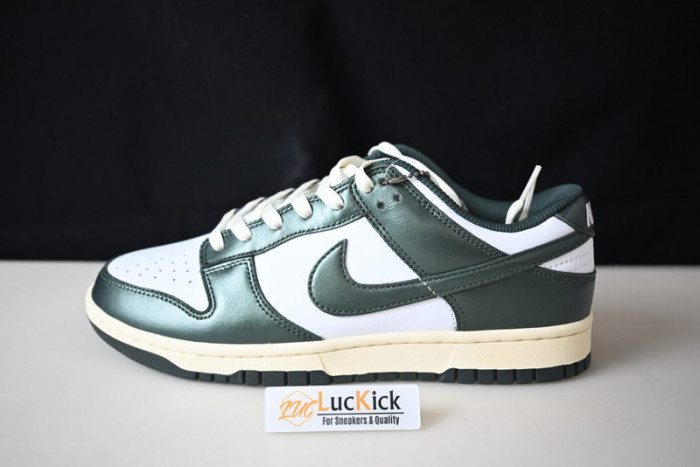 Nike dunk sb low pro dq8580-100