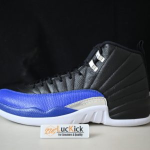 Air Jordan 12 Retro CT813-041