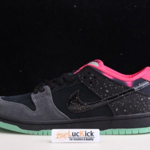Nike dunk sb low premier "N0*Hern lights" 724183-063