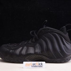 Nike air foamposite one 314996-001