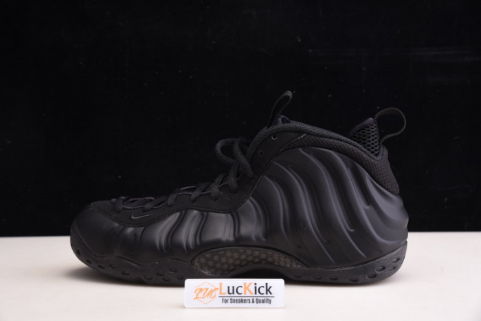 Nike air foamposite one 314996-001