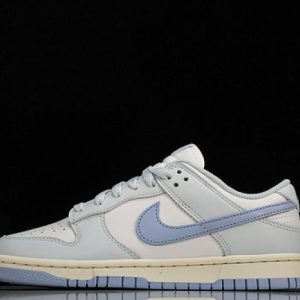 Nike dunk low dd1873-400