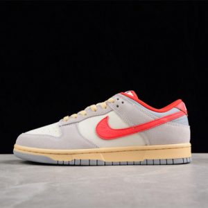 Nike sb dunk low fj5429-133
