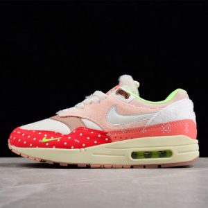 Nike air max 1 prm "best friend" dr2553-111