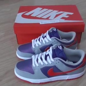 Customer Review: Nike Dunk Low Samba