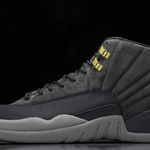 Air Jordan 12 130690-005