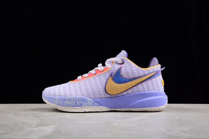 Nike lebron dj5423-500