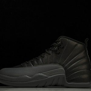 Air Jordan 12 CT8013-019