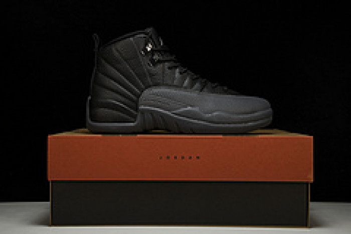 Air Jordan 12 CT8013-019 - Image 4