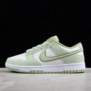 Nike dunk low dq7579-300