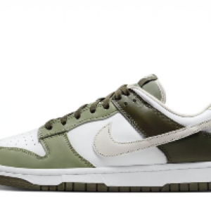 Nike sb dunk nsd-001