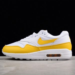 Nike air max 1 dx2954-001