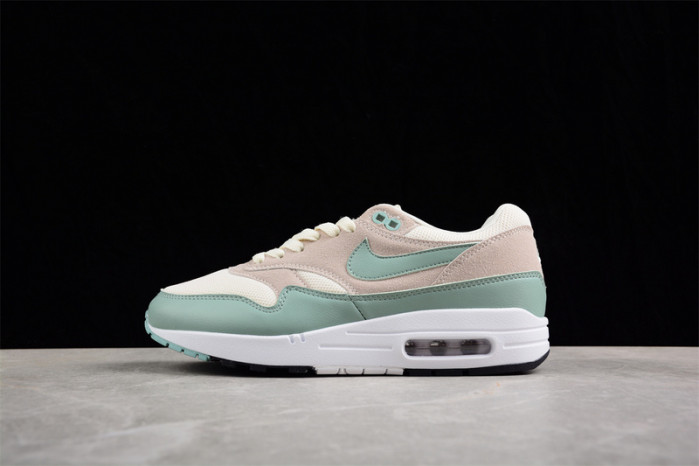 Nike air max 1 dz4549-100