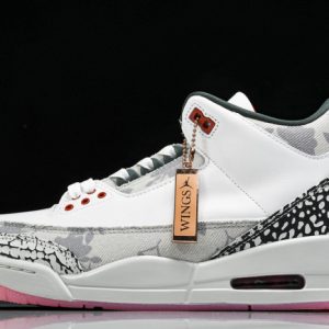 Air Jordan 3 "Wings" HM6993-100
