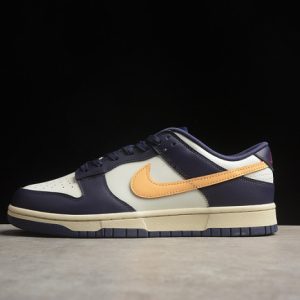 Nike dunk low fv8106-181