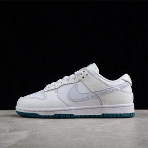 Nike sb dunk low fd9911-101