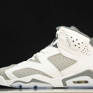 Air Jordan 6 "cool grey" ct8529-100