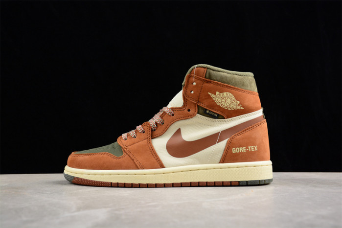 Air Jordan 1 High DB2889-102