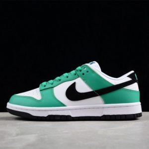 Nike dunk low fn3612-300