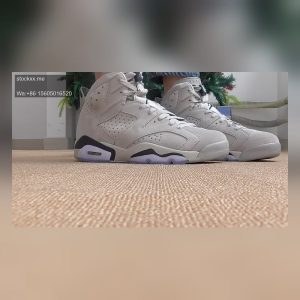 Air Jordan 6 Georgetown On Foot Review