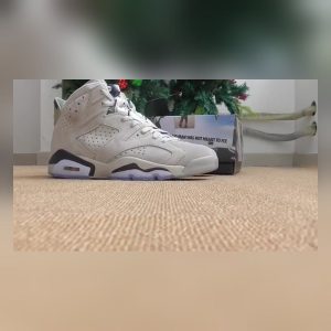 Air Jordan 6 Georgetown Unboxing Review & On Feet