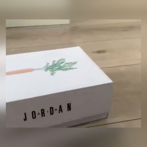 Customer Review: Air Jordan 6 Hare Bugs Bunny